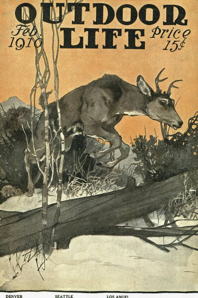 Outdoor Life Magazine Cover February 1910 Art Print
