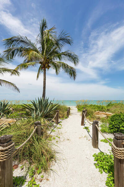 Wall Art - Photograph - Path to the beach #1 by Melanie Viola