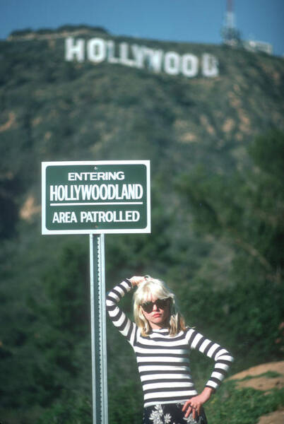 Hollywood Sign Art for Sale