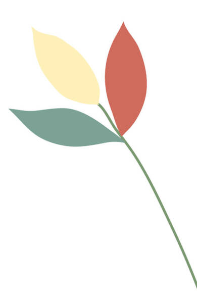 Minimal Boho Botancial Ii Art Print