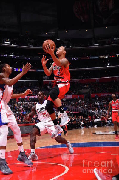 Wall Art - Photograph - Shabazz Napier by Juan Ocampo