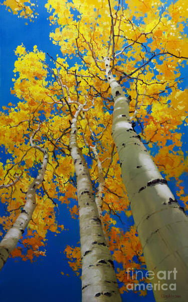 Golden Aspen Trees against Blue Sky Art Print