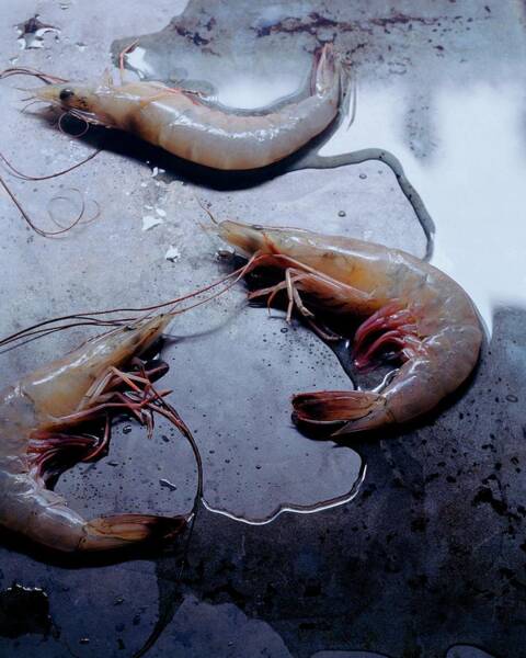 Wall Art - Photograph - Raw Shrimp by Romulo Yanes