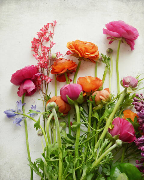 Spring Joy Art Print