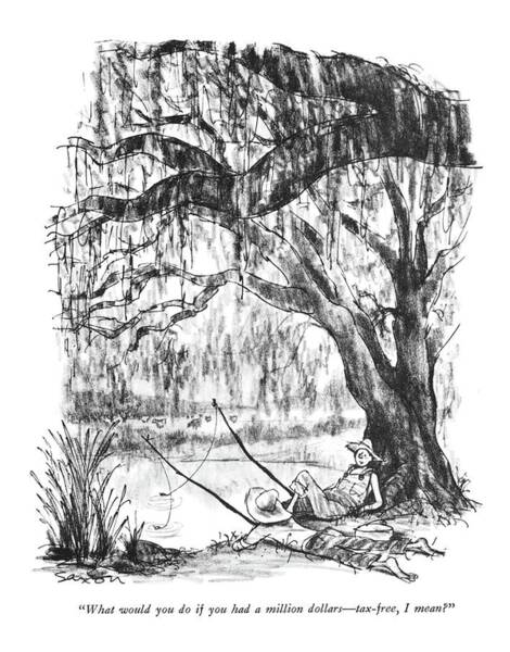 Botanical Illustrations of Mosses  Lizzie Harper