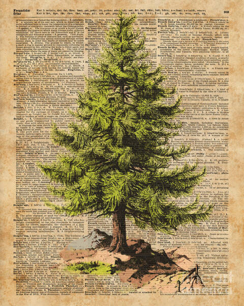 Dictionary Encyclopedia Art vintage A3 Nature art Book page Stag Head Print