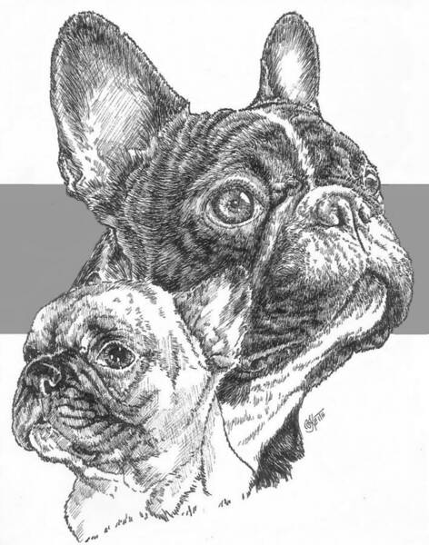 8 Sections Bow Tie French Bulldog Drawing XL Giant Panel Poster 
