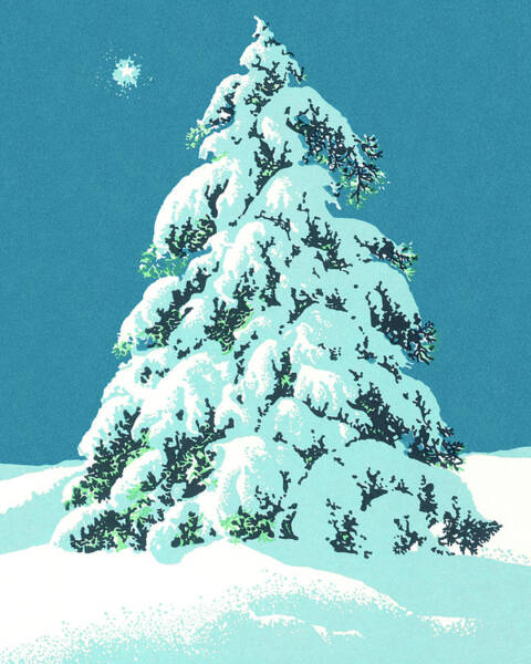 Christmas tree snow and sky Christmas green tree snow and blue sky  vector  CanStock