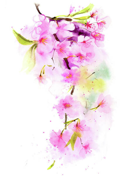 Wall Art - Painting - Blossom Cherry  by Olga Tchefranov