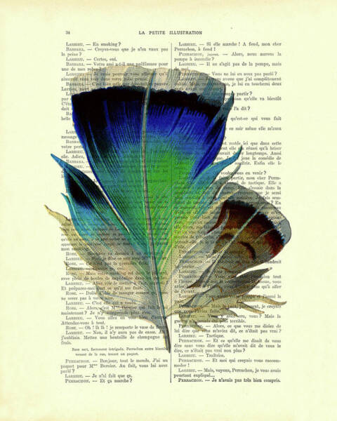 Wall Art - Digital Art - Blue bird feather on a french book page by Madame Memento