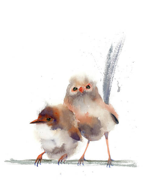 Wren Birds Art Print Art Print