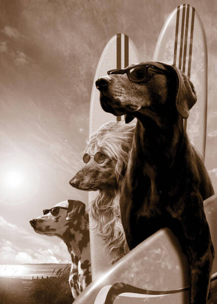 Wall Art - Photograph - Changes by MGL Licensing