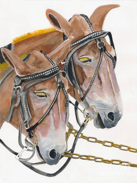 Mules - Two - Beast Of Burden Art Print