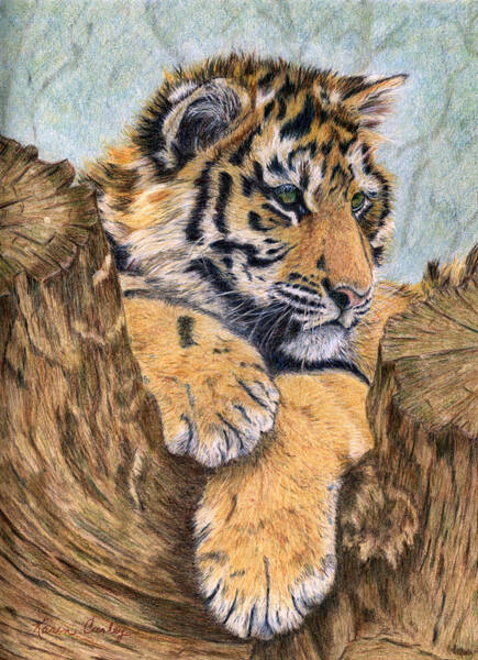 Tiger Painting Animal Original Art Nursery Wall Art Tiger Cub Artwork Square 12 by 12 by Sedova Original Art