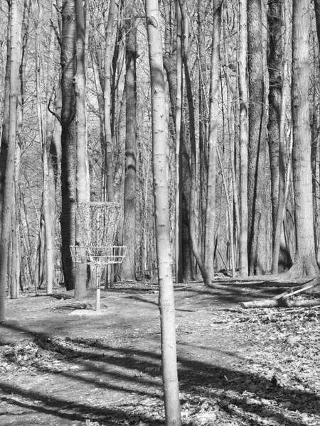 Black And White Disc Golf Basket Art Print