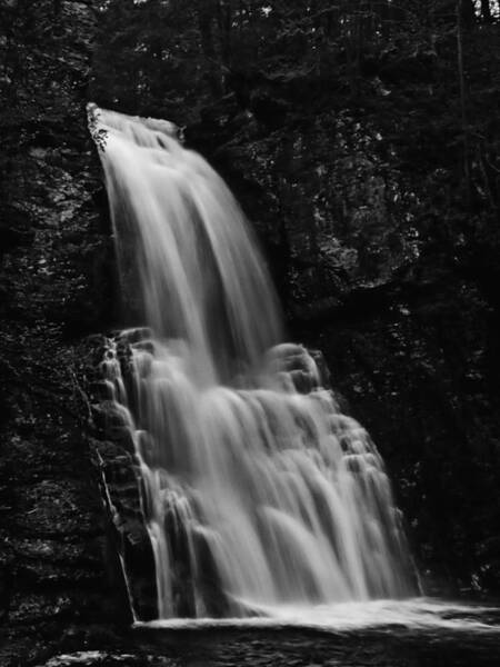  Photograph - Bushkill Falls by Louis Dallara