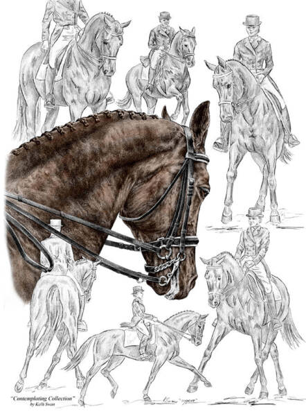 Free: Horse Pegasus Unicorn Fire Drawing - pegasus - nohat.cc