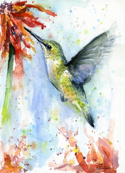 Hummingbird And Red Flower Watercolor Art Print