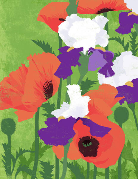 Wall Art - Digital Art - Spring Poppies by Don Bishop