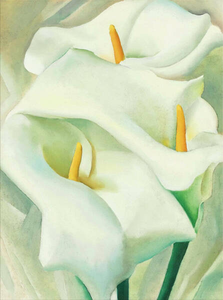 Wall Art - Painting - Calla lilies - Modernist flower painting by Georgia O'Keeffe by Georgia O'Keeffe