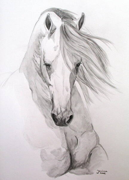 Arabian Horse Drawing 11 Drawing by Ang El - Fine Art America