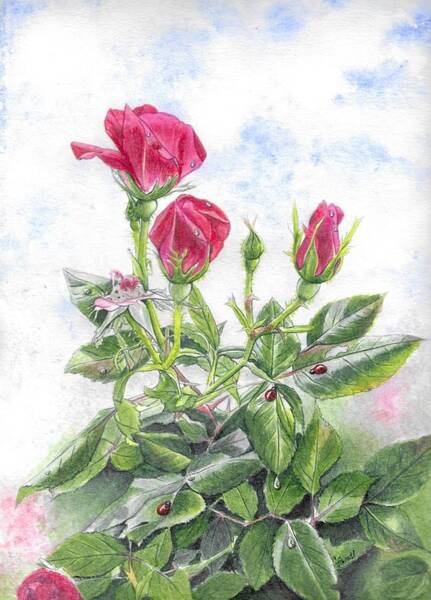  Painting - Roses in the garden by Swati Singh