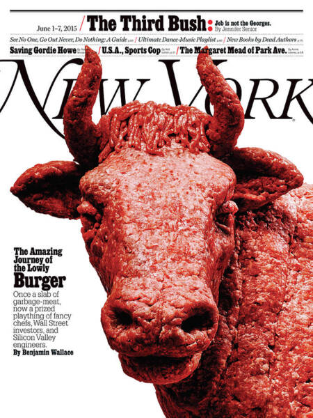 The Amazing Journey Of The Lowly Burger Art Print