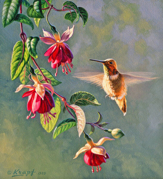 Wall Art - Painting - Rufous and Fuschia by Paul Krapf