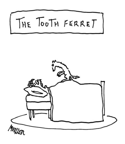Wall Art - Drawing - A Man Lies In Bed With A Ferret On Top by Peter Mueller
