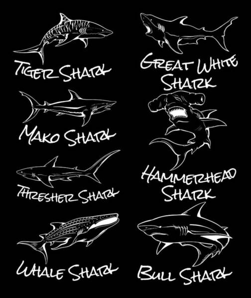 Wall Art - Digital Art - Types of Sharks Cool Shark #1 by Kevin Garbes