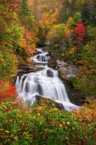 Cullasaja Falls - Wnc Waterfall In Autumn Art Print