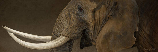 Majestic Elephant Profile Art Print