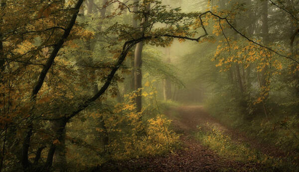 Wall Art - Photograph - A Sorrow Beyond Dreams / Color by Norbert Maier