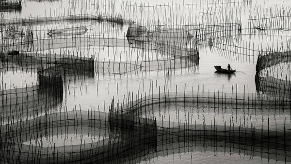 Wall Art - Photograph - Waiting For The Catch by Ahmed Abdulazim