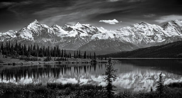 Wall Art - Photograph - Mt. Denali In Summer #1 by Wei (david) Dai
