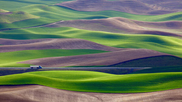 Driving In The Wheat Field At Palouse Art Print