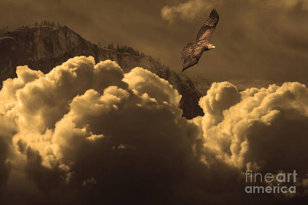 Before Memory . I Have Soared With The Hawk Art Print