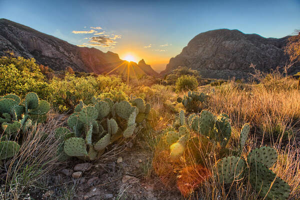 Big Bend Window Art Print