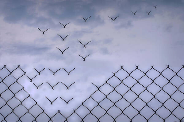 Dona??t Fence Me In! Art Print