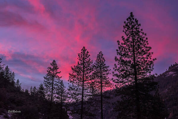 Fiery Sky Art Print