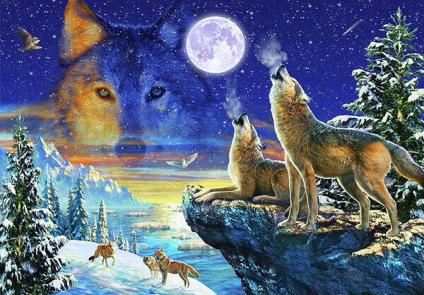 #1442 Blechschild 31 x 40 Wolves USA Werbeschild Art Live to Ride