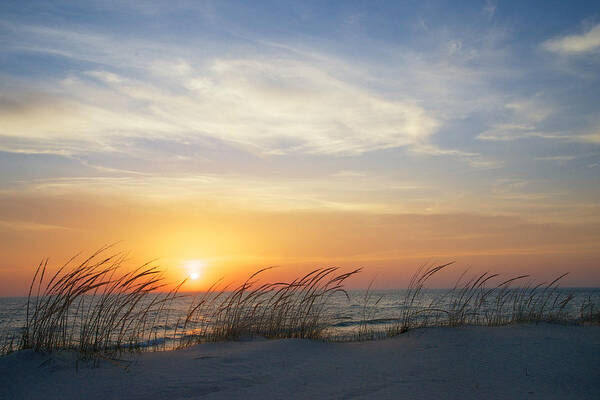 Lake Michigan Sunset With Dune Grass Art Print