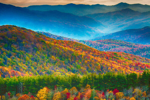 Max Patch Bald Fall Colors Art Print