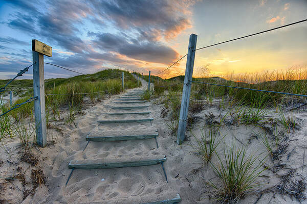 Path Over The Dunes Art Print