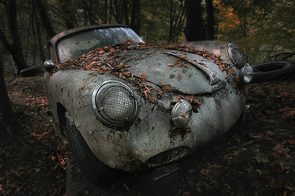 Wall Art - Photograph - Red Forest by Holger Droste