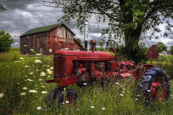 Reds In The Pasture Art Print