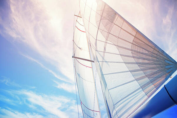 Wall Art - Photograph - Sail Background by Travenian