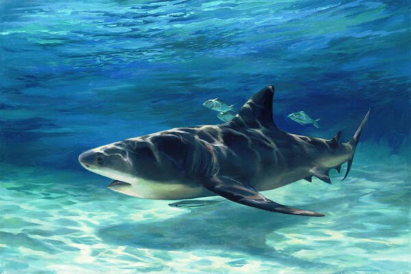 Majestic Underwater Shark Scene Art Print
