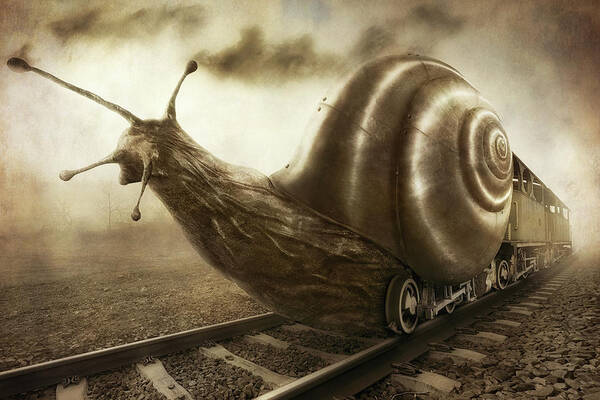 Wall Art - Photograph - Snail Mail by Christophe Kiciak