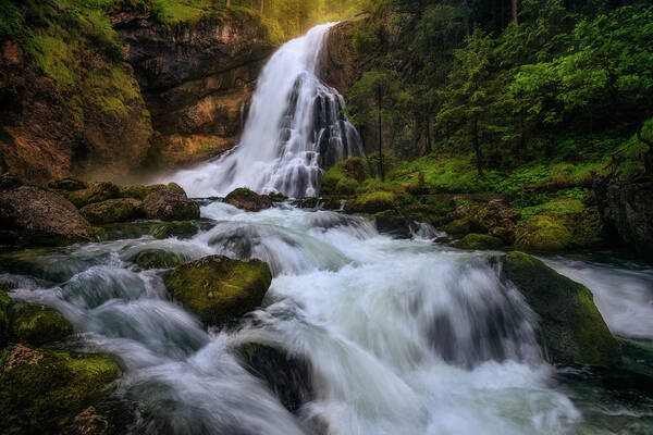 Wall Art - Photograph - Spring Flood by Daniel F.